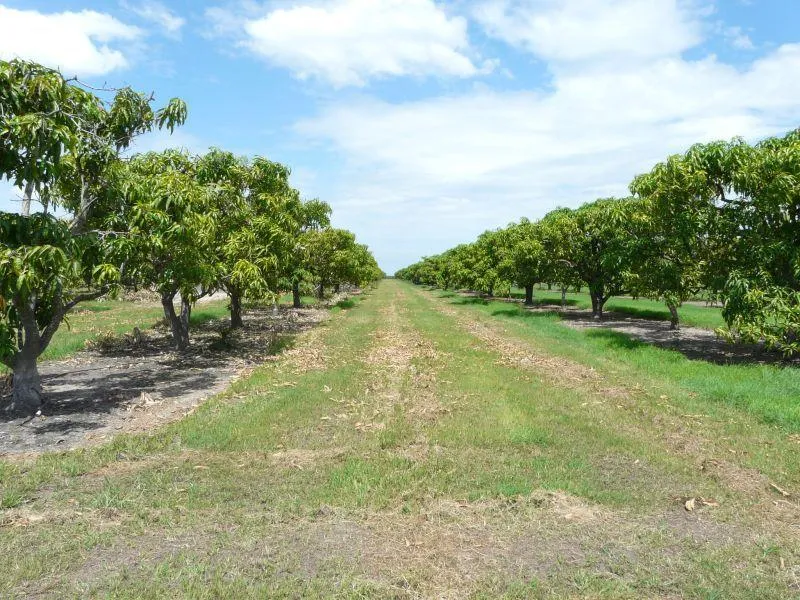 Secure your financial future with premium farmland